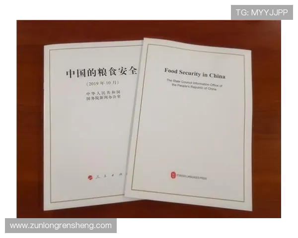 深度解析尊龙凯时中国官方网站的安全保障措施